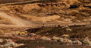 篮球——NBA常规赛：火箭胜公牛